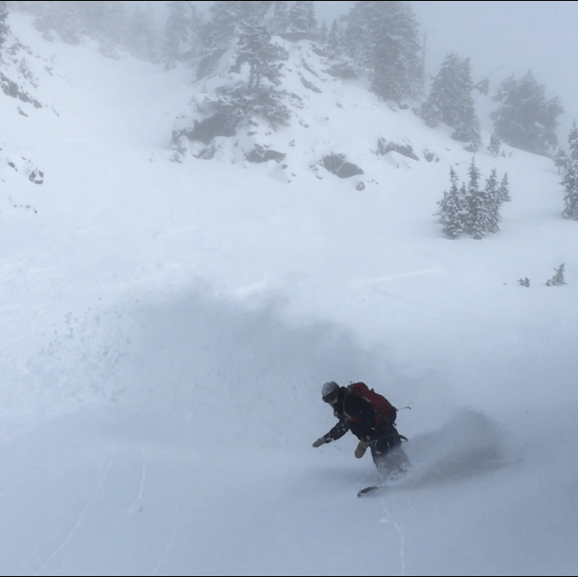 Mount Baker Group Guided Backcountry Skiing and Splitboarding - Guided Exposure
