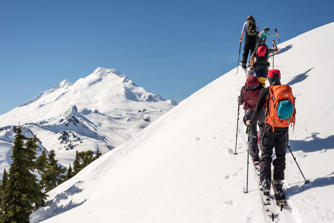 Mount Baker Group Guided Backcountry Skiing and Splitboarding