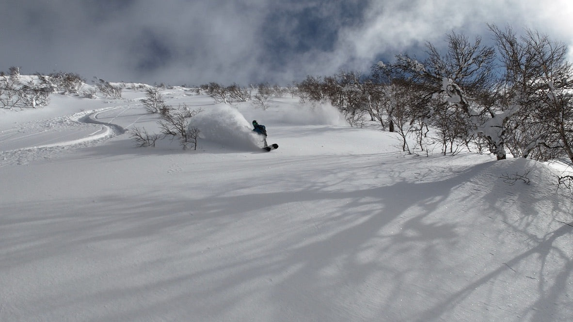 Japanese Alps Ski Trip 2027