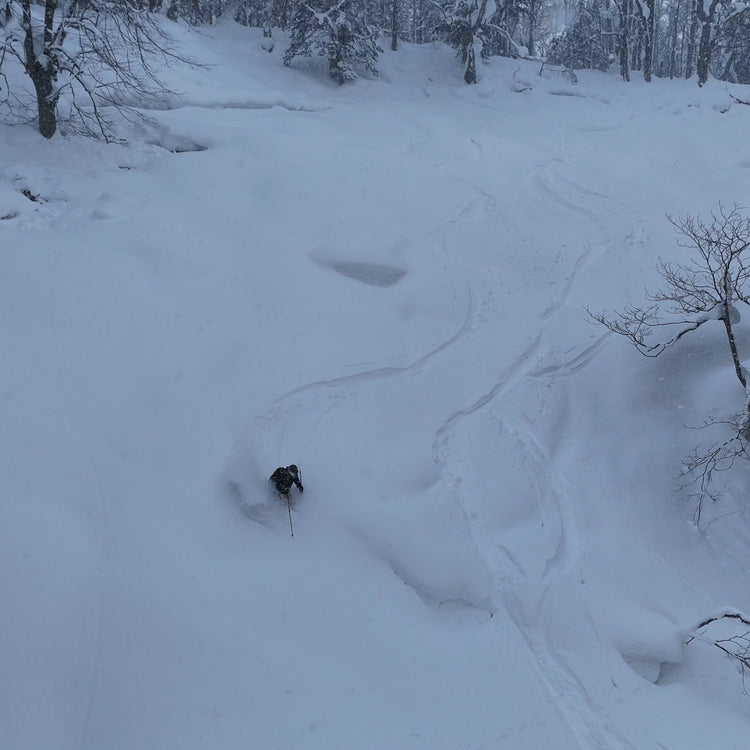 Hokkaido Japan Ski Trip 2026