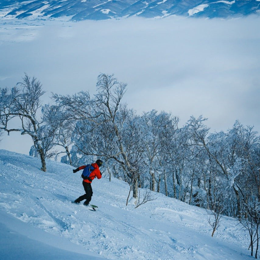 a splitboarder turns into snow covered birch trees above the clouds and the tokachi range above furano hokkaido japan