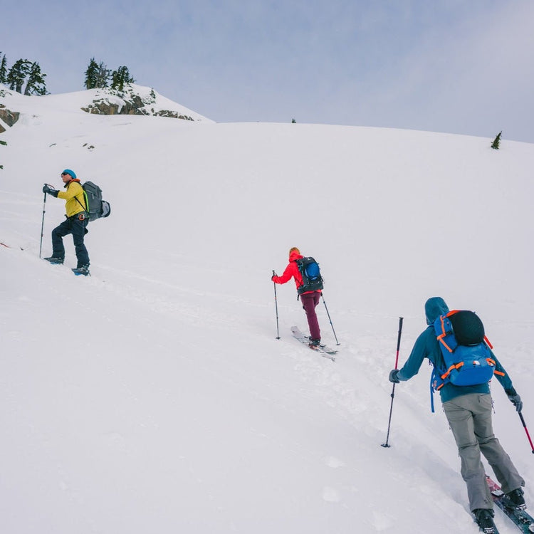 Mount Baker Group Guided Backcountry Skiing and Splitboarding