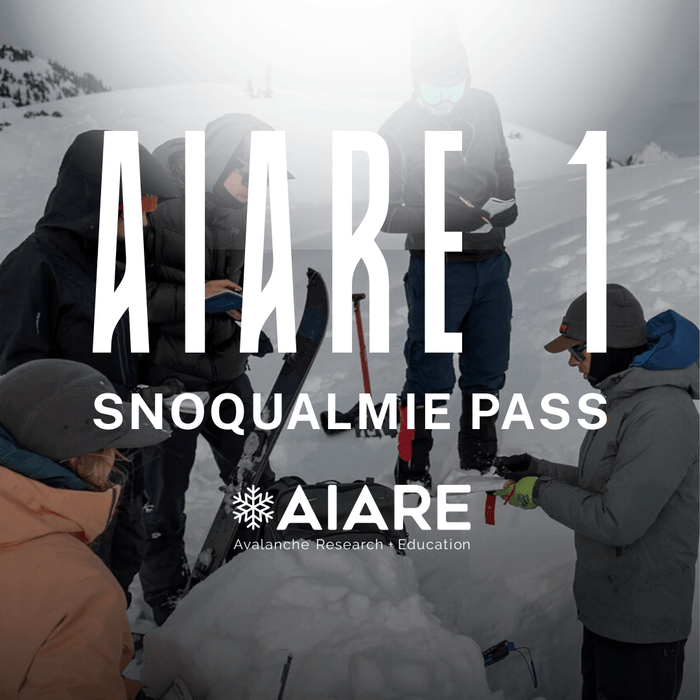 Group of people in a snowy landscape with AIARE 1 Snoqualmie Pass