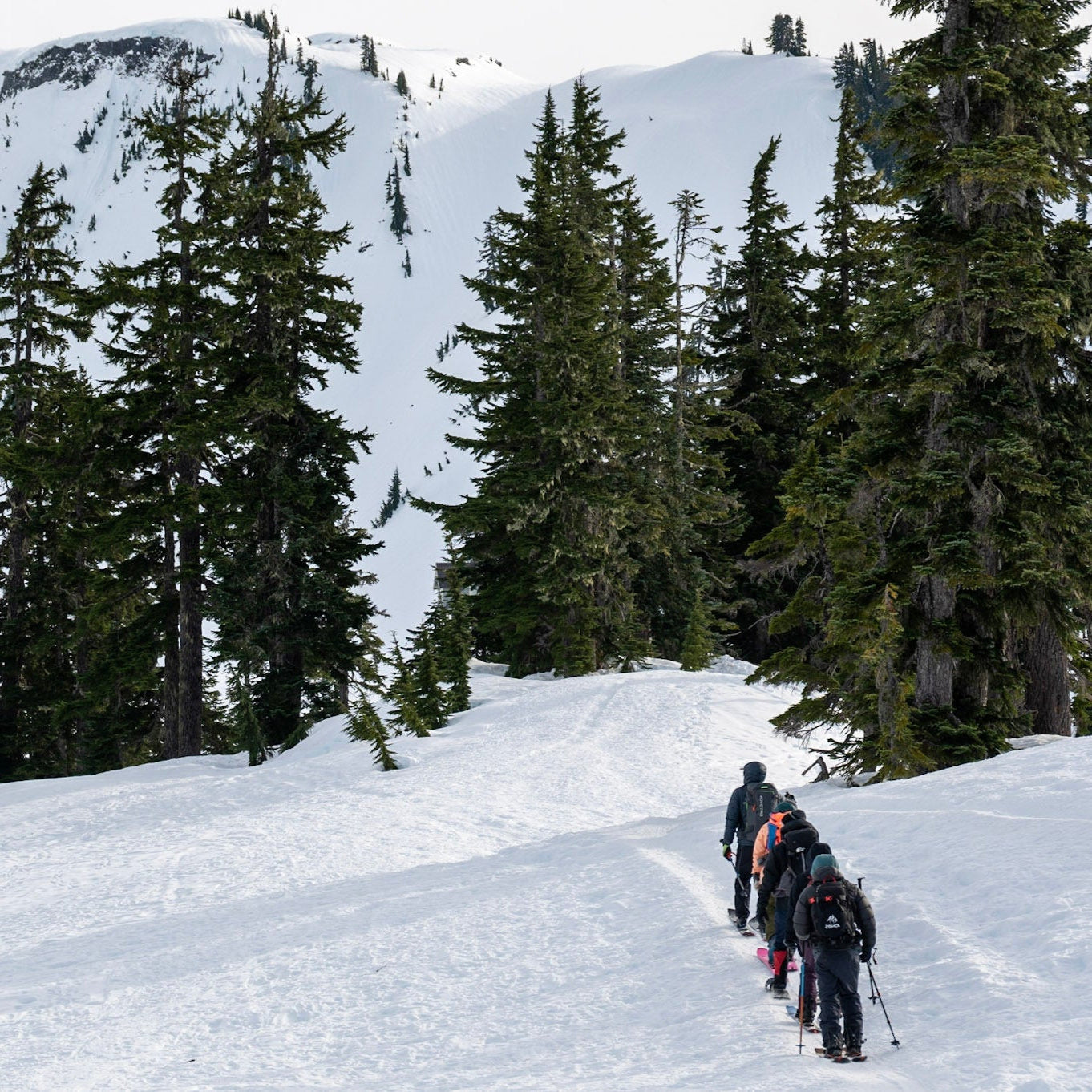 AIARE 1 Mount Rainier