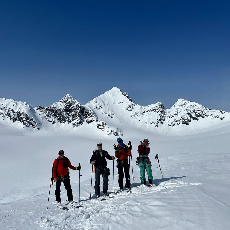 A group of ski mountaineers posing in front of Sapphire Peak, Tones Temple at Thompson Pass, Alaska during Guided Exposure's annual Chugach trip