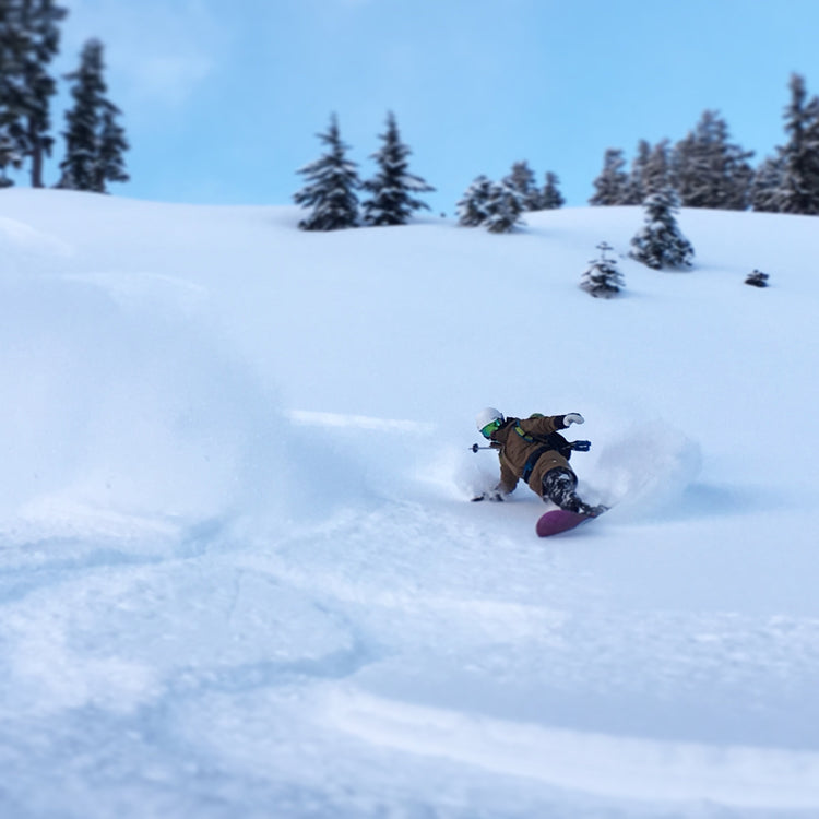Mount Baker Group Guided Backcountry Skiing and Splitboarding