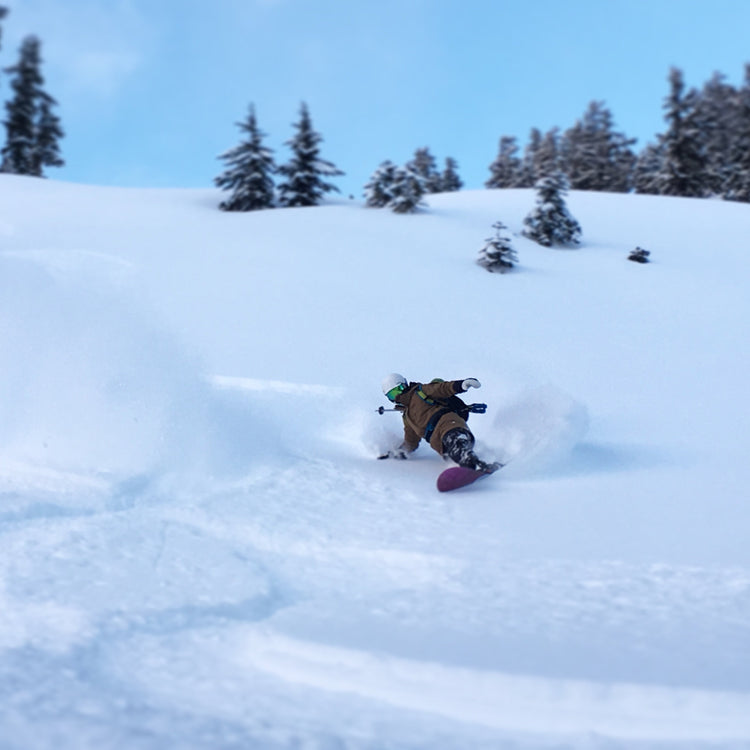 Mount Baker Backcountry 4 Pack