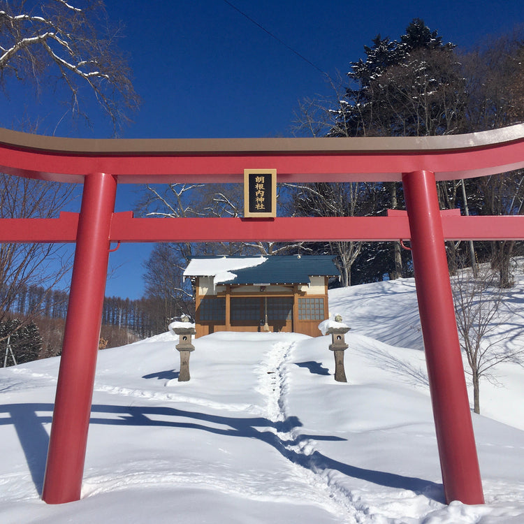 An almost daily site this shrine always meant a day of powder was waiting for us on the mountain. A Japanese shrine.