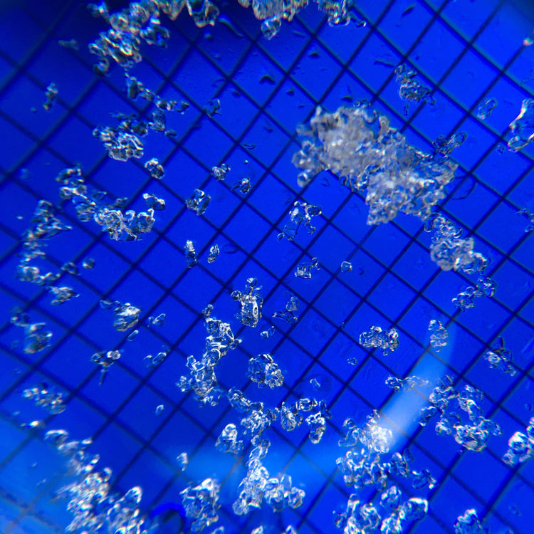 This is what snow looks like through a loupe. Identifying types of snow is practiced during AIARE 2 courses.