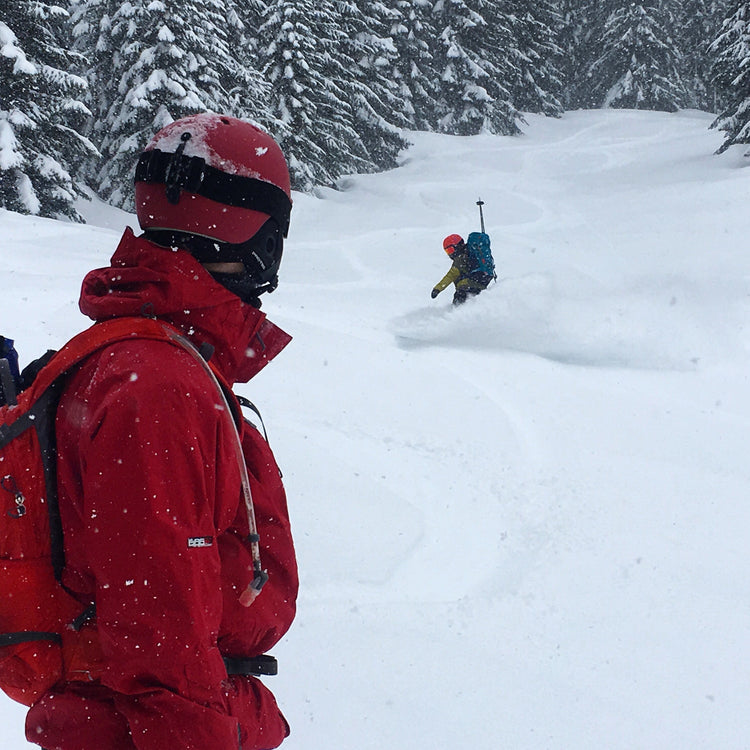 Looking back at tracks and a splitboarder turning through powder in an glade.