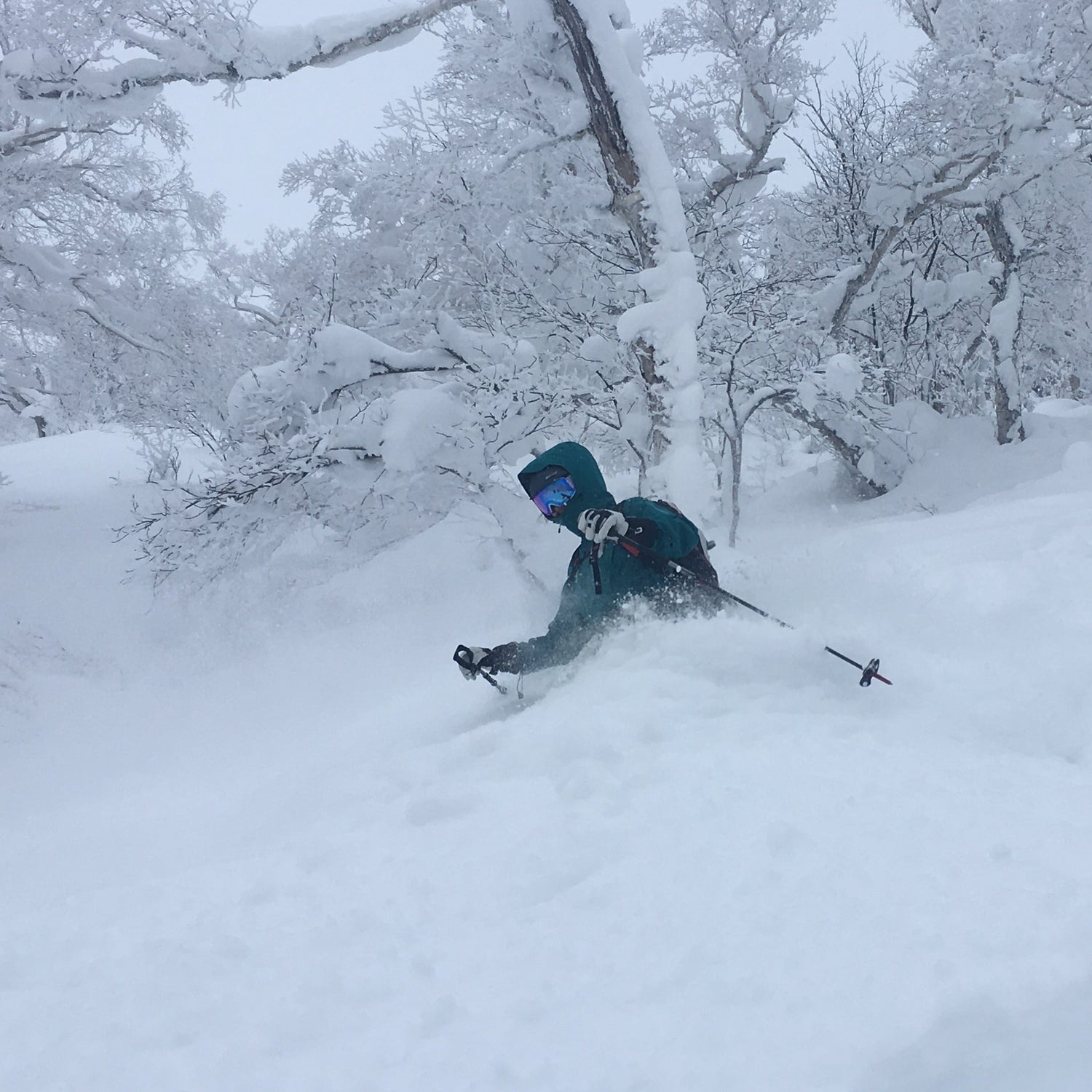 A skier turning in deep powder in Hokkaido Japan. During our week long ski trip to Furano Japan.