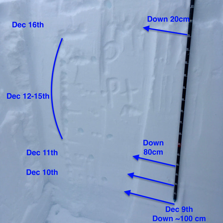 Snowpack layering can be connected to dates and weather. Layers of the snowpack have been labeled by depth and date.