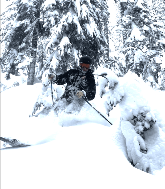 Skier walking through a snowy birch forest in Japan