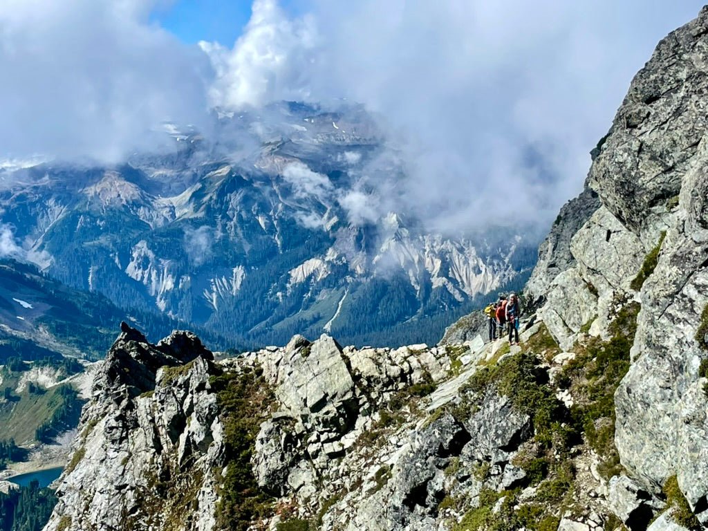 All Trips and Courses