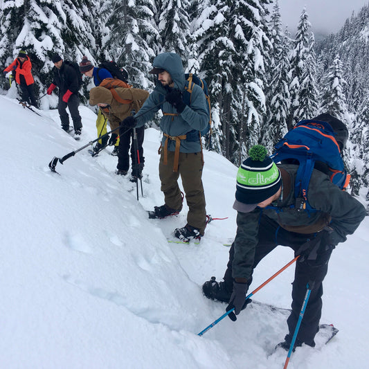 a group of AIARE 1 students learn hand shears at Snoqualmie Pass in the Alpental Valley