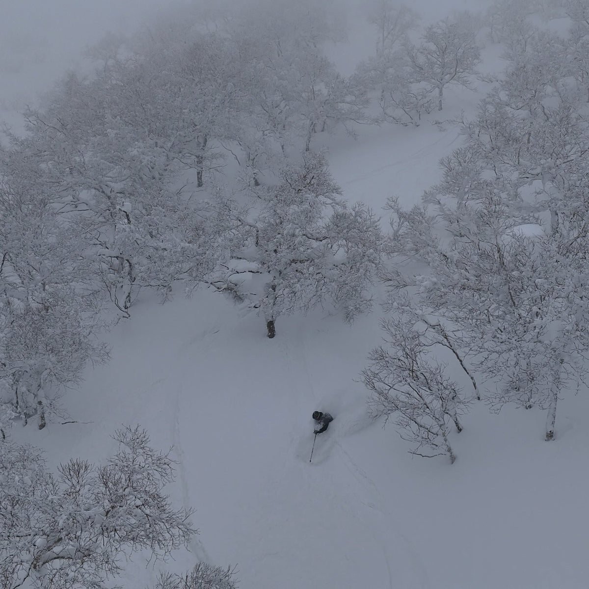 backountry skier in deep powder snow while a ski guide leads the way