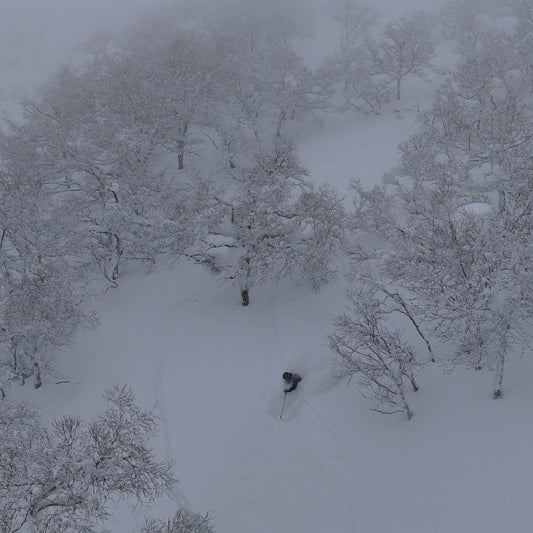 Nozawa Onsen Japan Ski Trip 2027