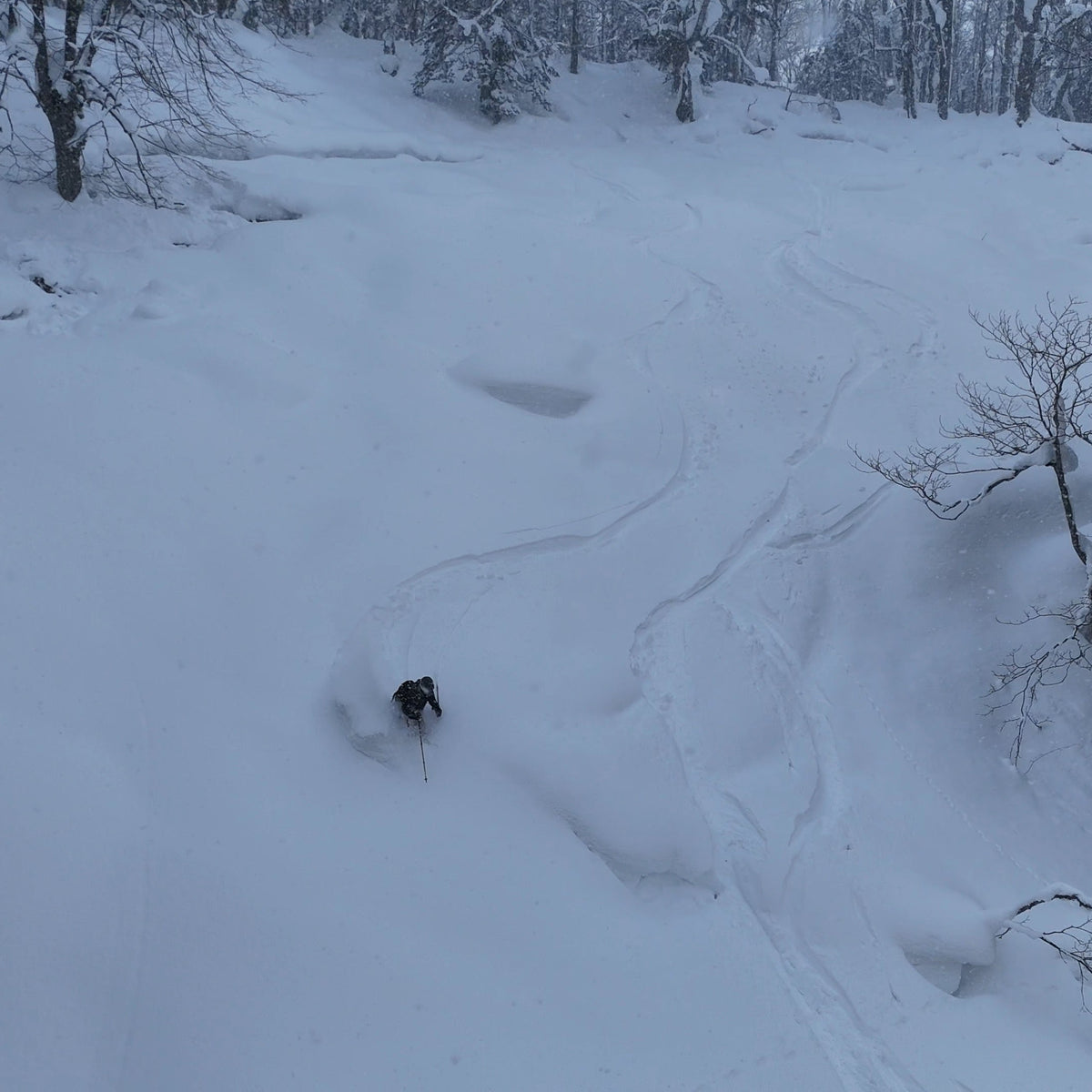 making deep turns during a guide ski touring trip in haokkaido japan