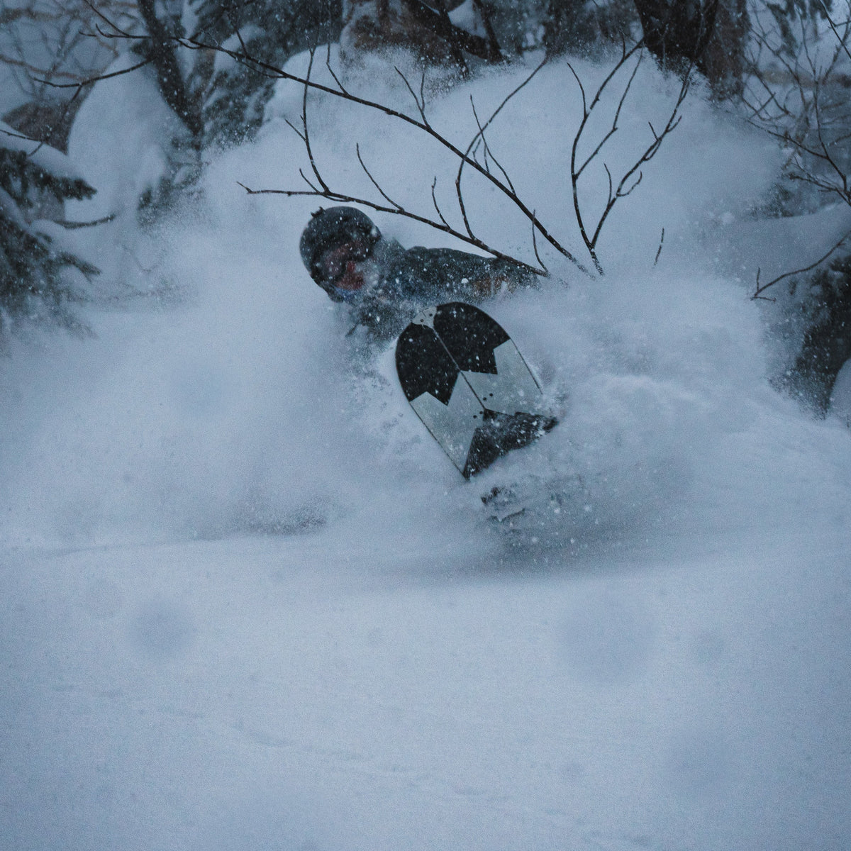 a snowboarder is in deep dry Japanese powder snow during a guide ski trip in furano hokkaido japan