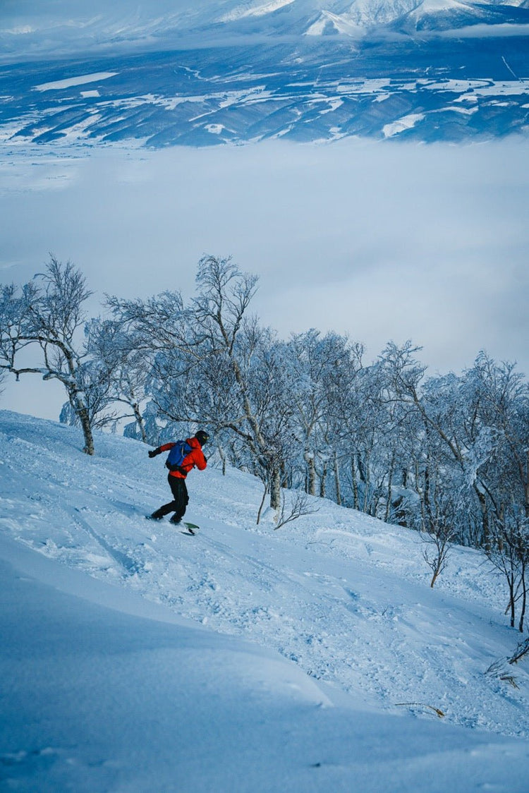 a splitboarder turns into snow covered birch trees above the clouds and the tokachi range above furano hokkaido japan