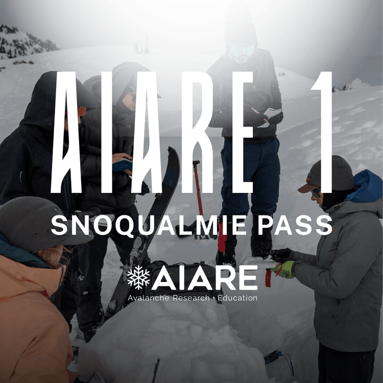 Group of people in a snowy landscape with AIARE 1 Snoqualmie Pass
