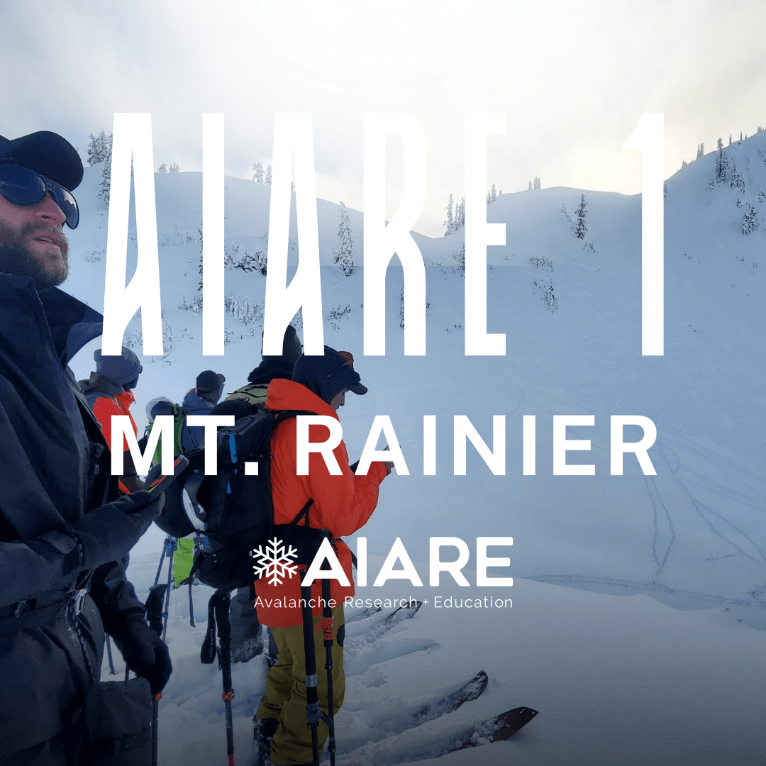 Group of skiers in a snowy mountain setting with AIARE Mt. Rainier