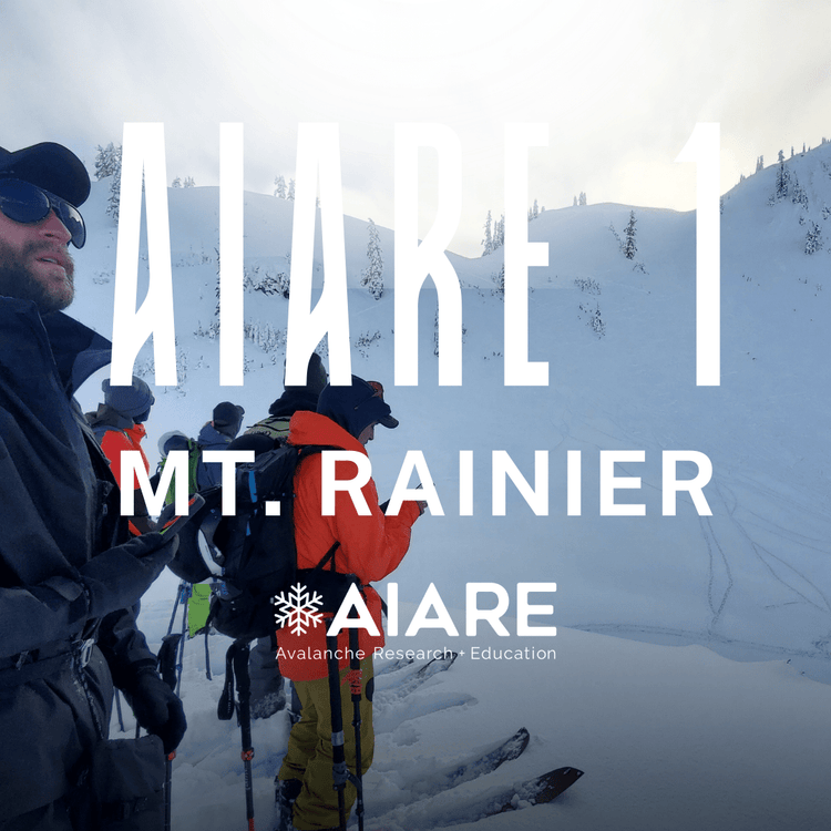 Group of skiers in a snowy mountain setting with AIARE Mt. Rainier