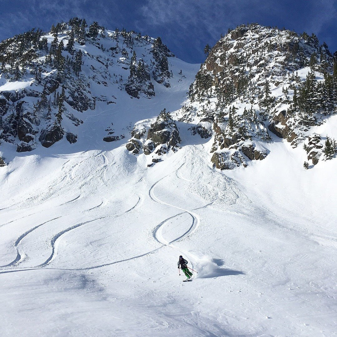 Mount Baker Group Guided Backcountry Skiing and Splitboarding