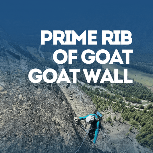 Person climbing a mountain with Prime Rib of Goat Goat Wall