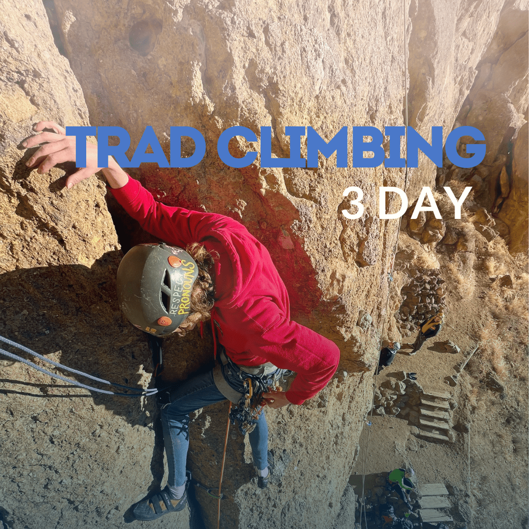 Person climbing a rock wall with TRAD CLIMBING 2 DAY