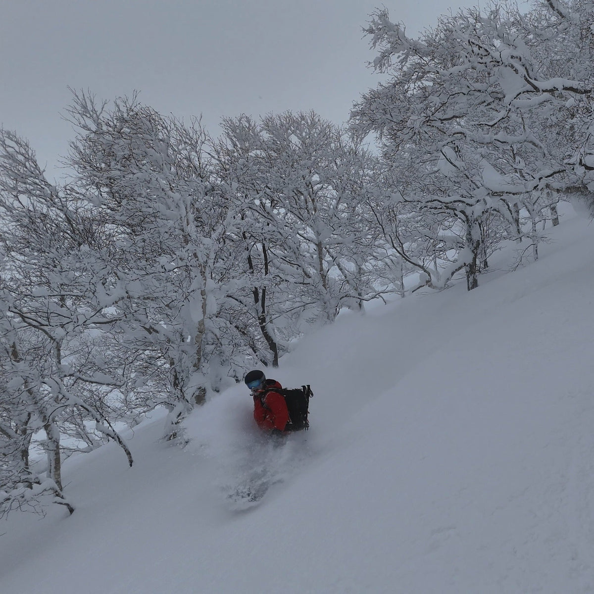 a splitboarder riding deep blower japow during a trip with a ski guide