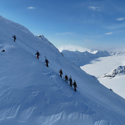 Group of people hiking up a snow-covered mountain in Svalbard with a clear blue sky and a glacier below.