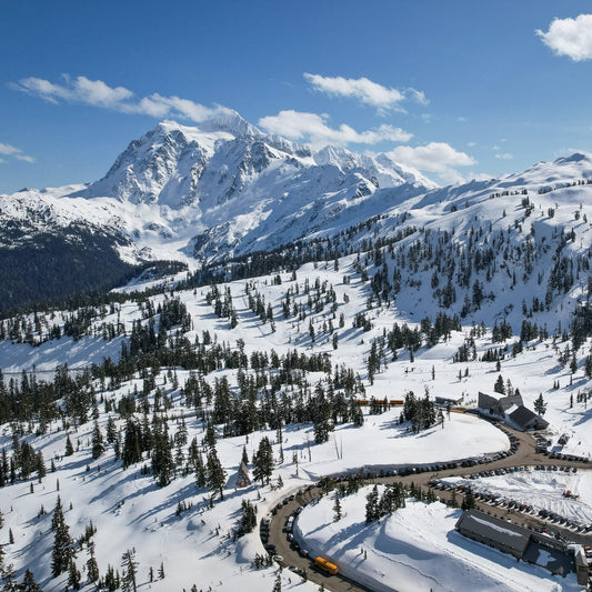Mount Baker Group Guided Backcountry Skiing and Splitboarding