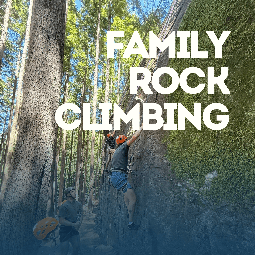 Family Rock Climbing with Guided Exposure — climbers on a forested crag in Washington