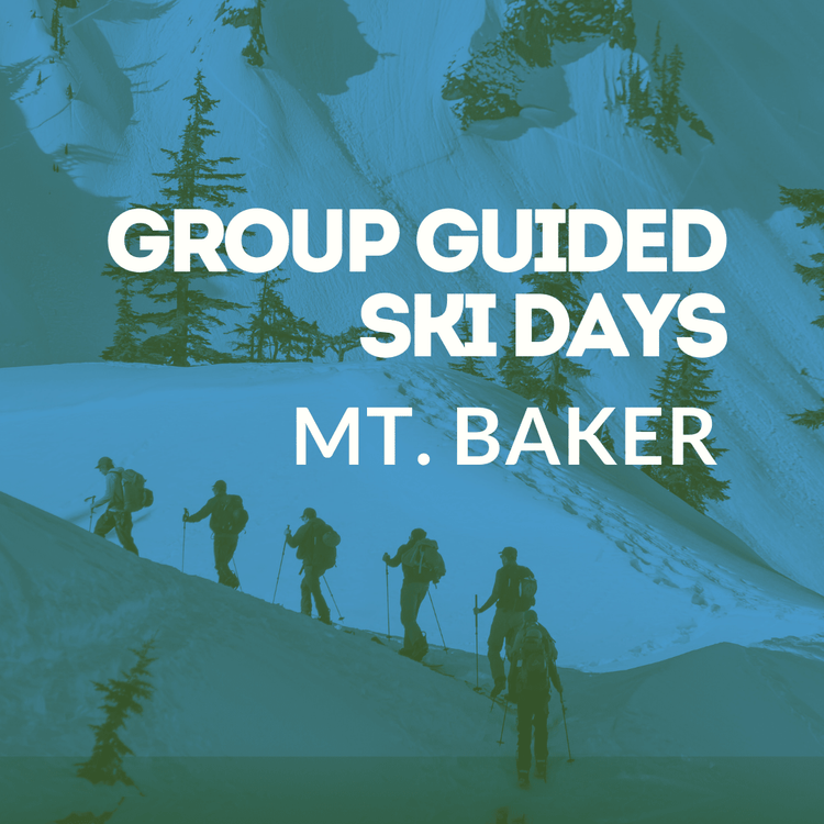 group guided ski days at Mt. Baker with skiers on a mountain slope