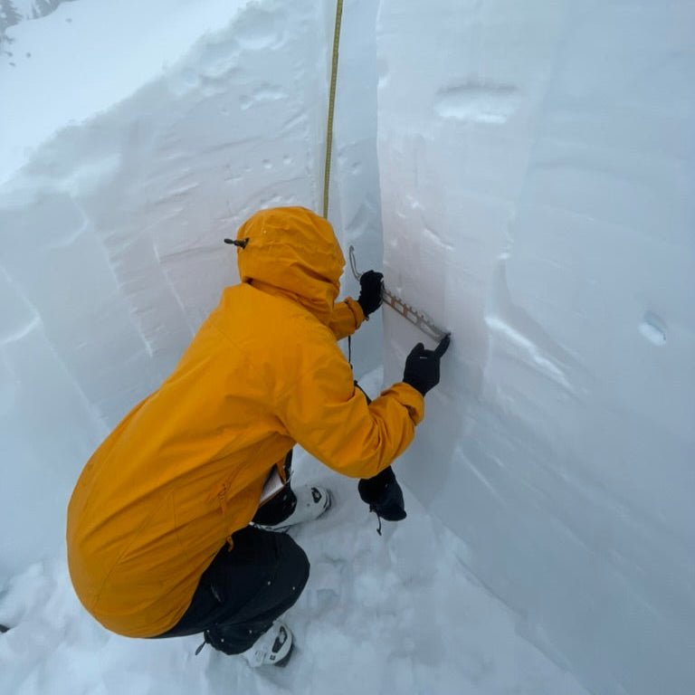 Backcountry skier in a yellow jacket examining a snow pit wall during a women's avalanche mentorship course near Mount Baker