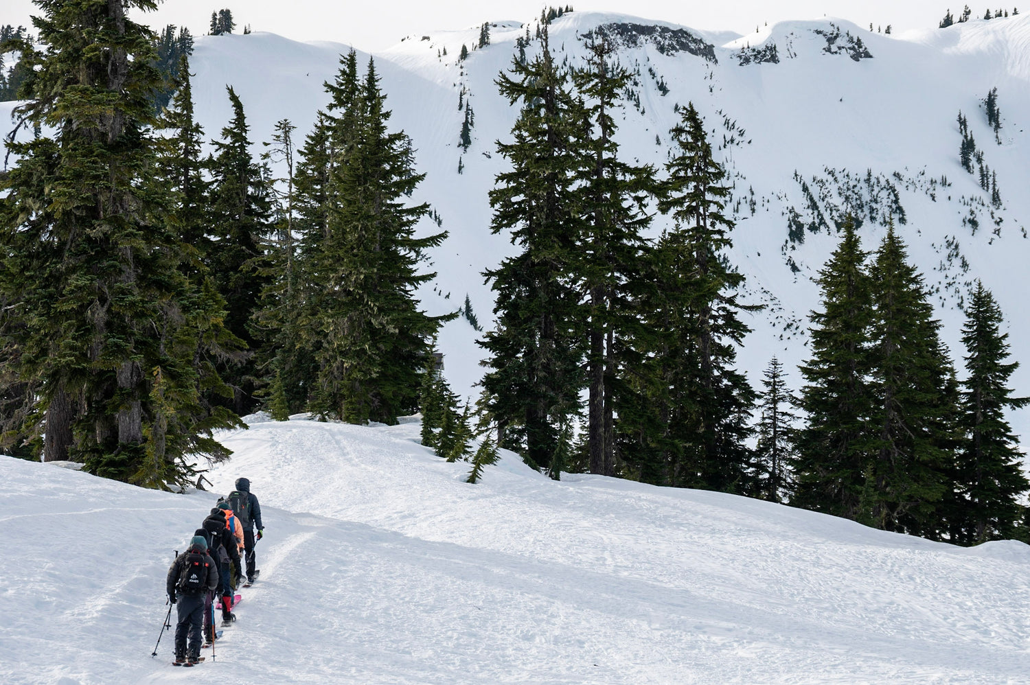 AIARE 1 students get experience traveling through terrain in the Mount Baker Backcountry. 