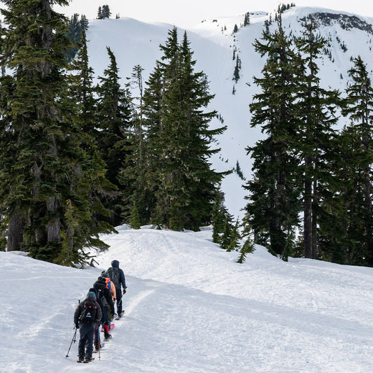 AIARE 1 students get experience traveling through terrain in the Mount Baker Backcountry. 