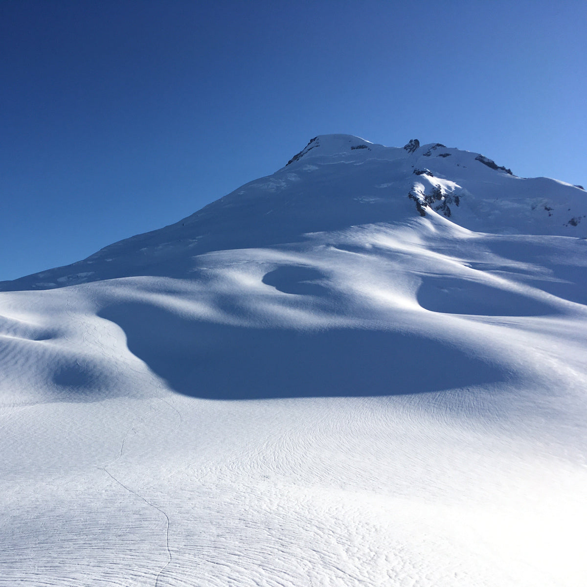 Ski tracks on the slopes of Mount Baker on a clear day. 