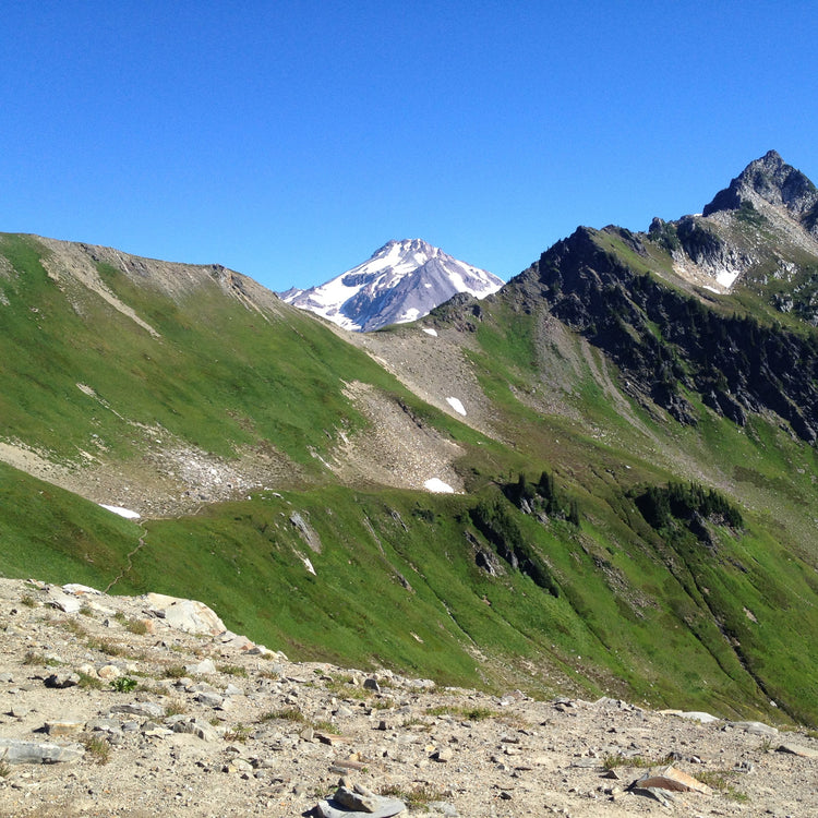 a view from white pass on the PCT through Glacier gap to Dakobed Glacier Peak