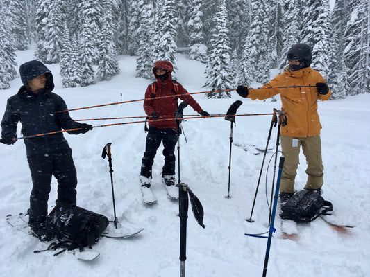 Splitboarders get a feeling for people while using avalanche probes at a SPlitboard AIARE 1 course at Mount Baker.