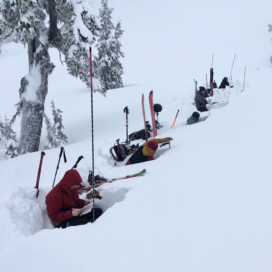 AIARE 1 participants make snowpack observations and identify layers in the snowpack.