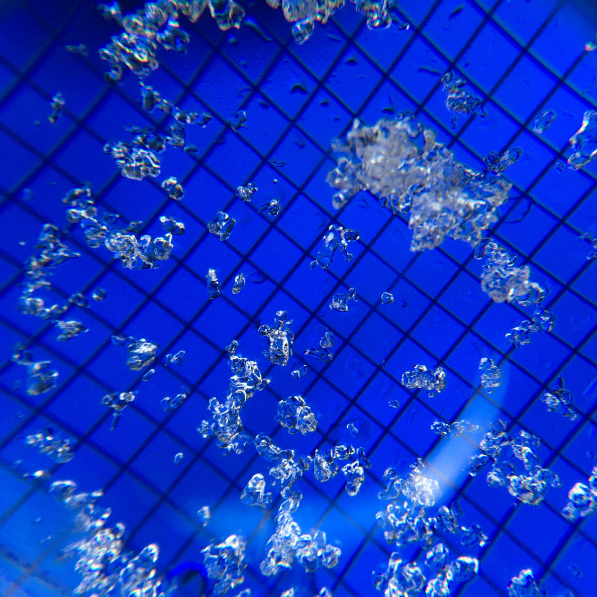 This is what snow looks like through a loupe. Identifying types of snow is practiced during AIARE 2 courses.