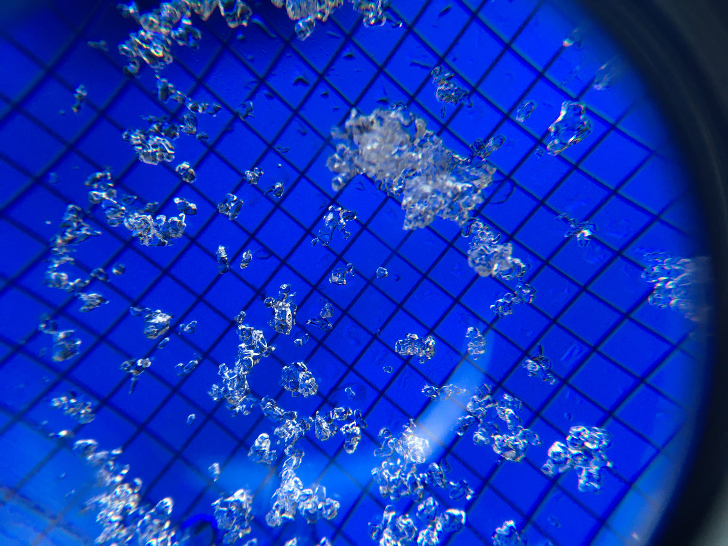 This is what snow looks like through a loupe. Identifying types of snow is practiced during AIARE 2 courses.