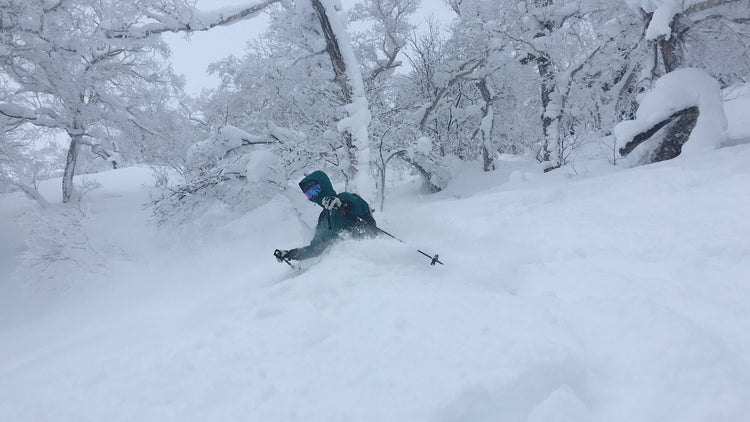 A skier turning in deep powder in Hokkaido Japan. During our week long ski trip to Furano Japan.