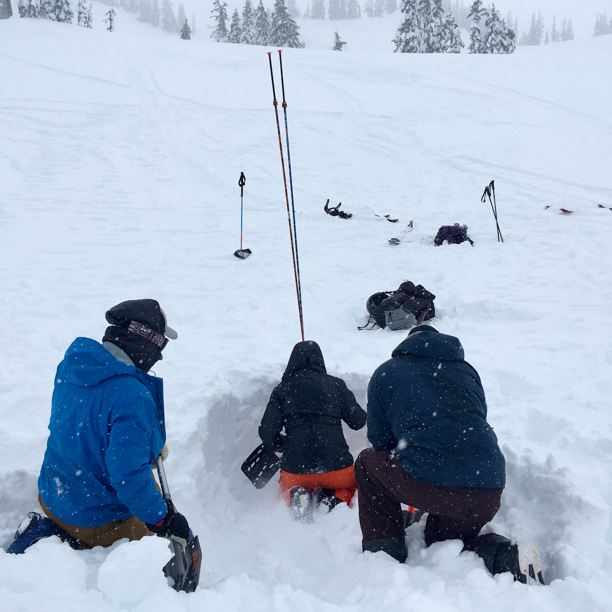 AIARE 1 students practice digging while performing an avalanche rescue. 