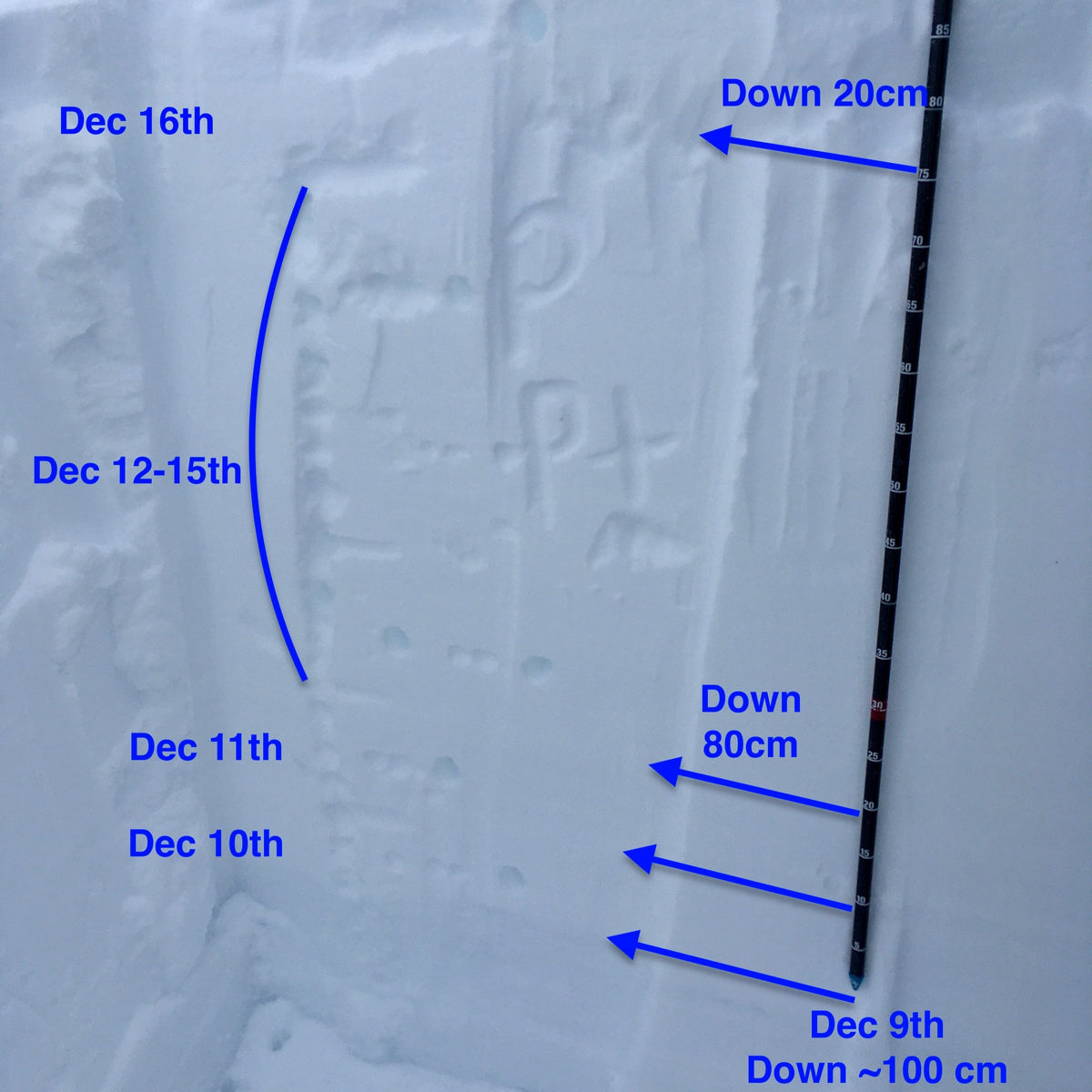 Snowpack layering can be connected to dates and weather. Layers of the snowpack have been labeled by depth and date.