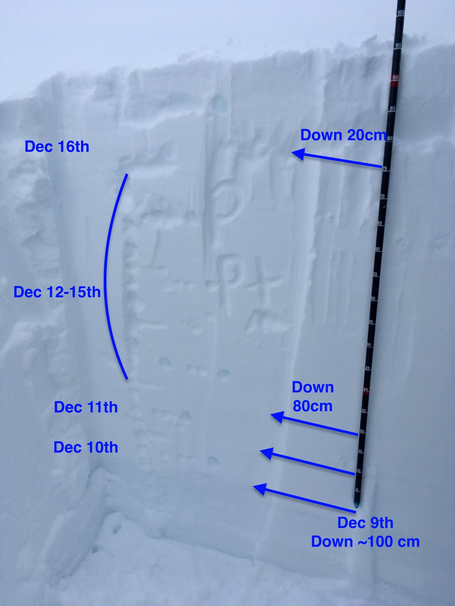 Snowpack layering can be connected to dates and weather. Layers of the snowpack have been labeled by depth and date.